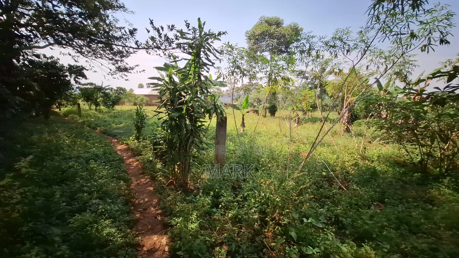 Land at Wanjeyo-Walusubi, Namawojjolo-Mukono Reduced