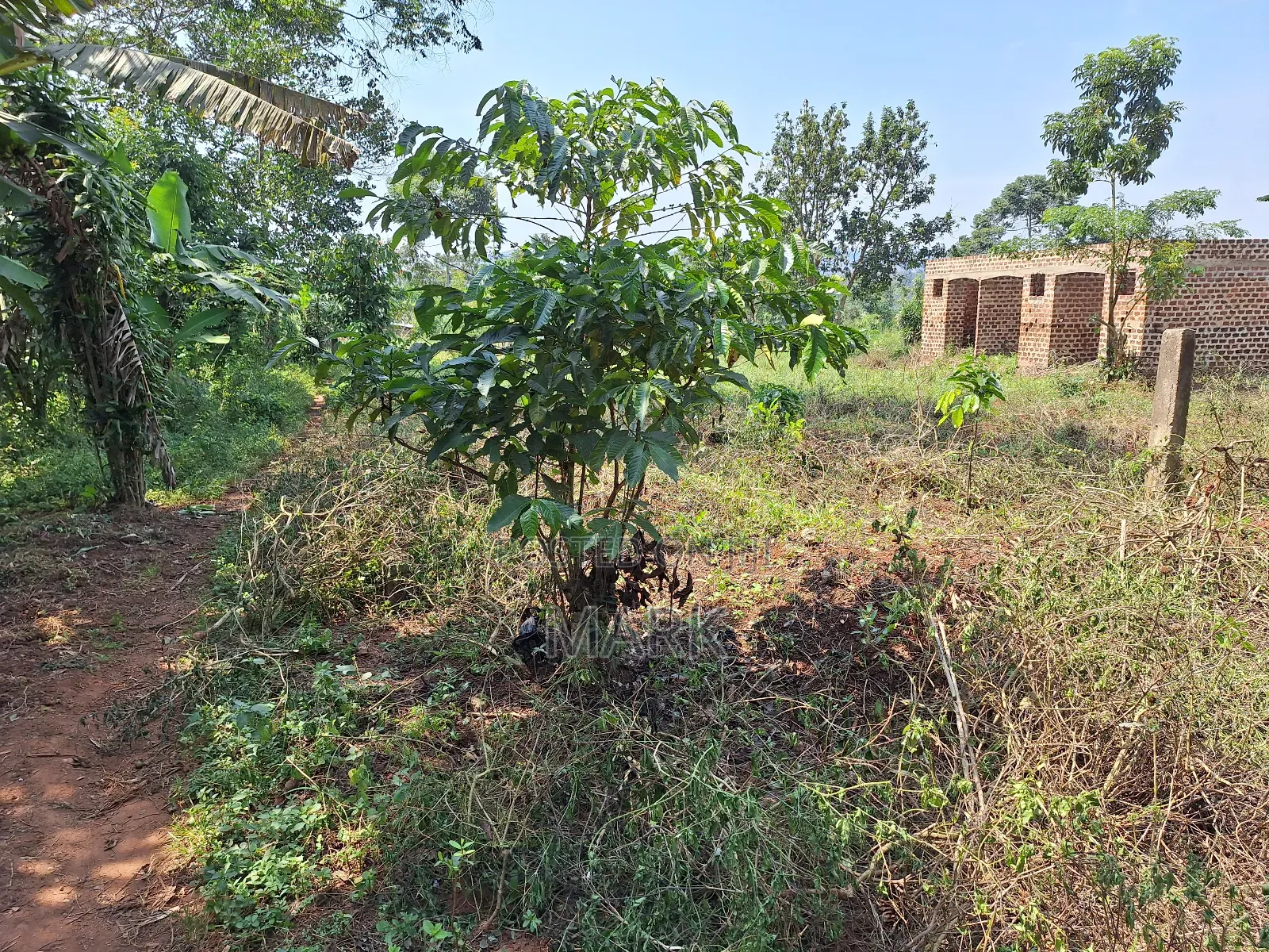 Land at Wanjeyo-Walusubi, Namawojjolo-Mukono Reduced