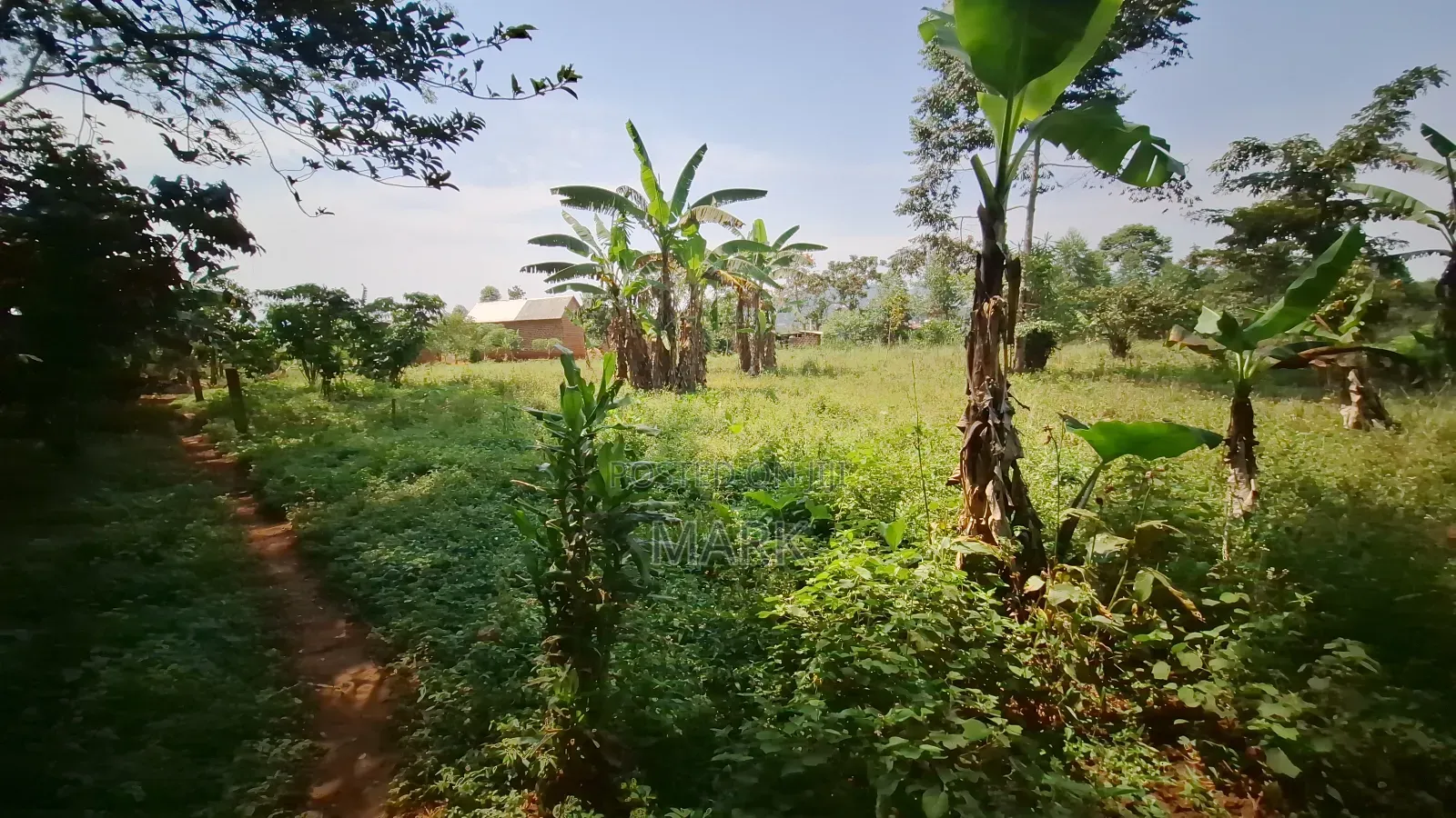 Land at Wanjeyo-Walusubi, Namawojjolo-Mukono Reduced