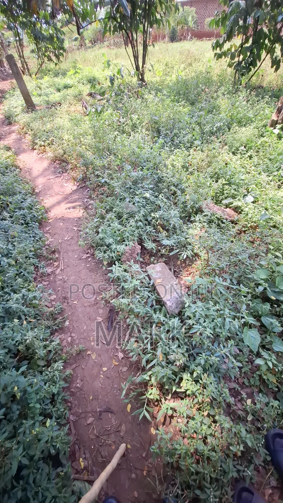 Land at Wanjeyo-Walusubi, Namawojjolo-Mukono Reduced