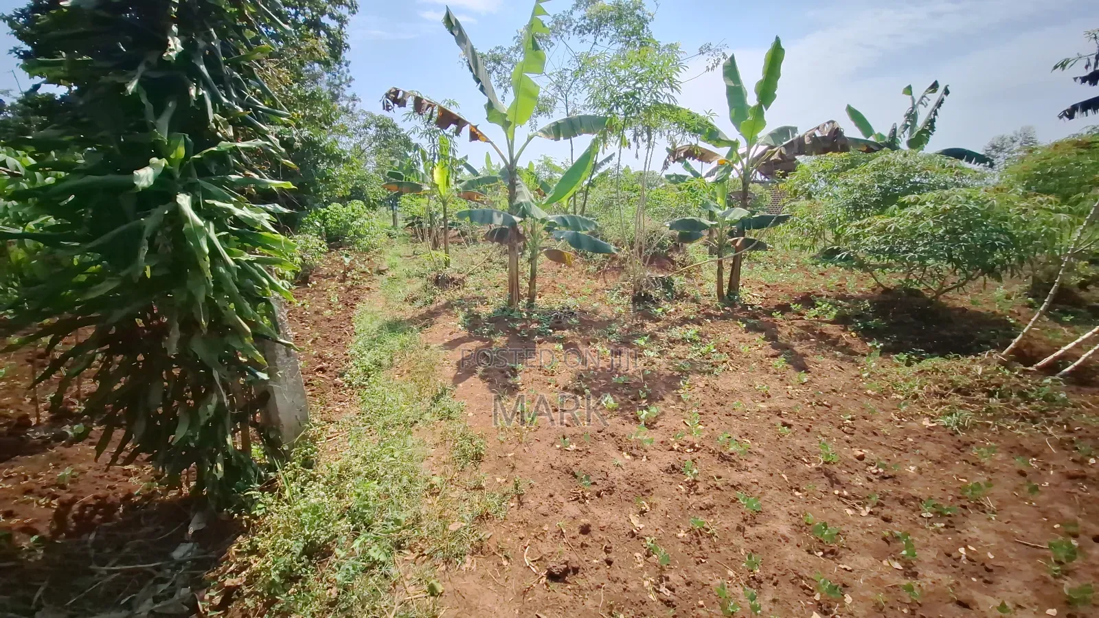 Land at Wanjeyo-Walusubi, Namawojjolo-Mukono Reduced