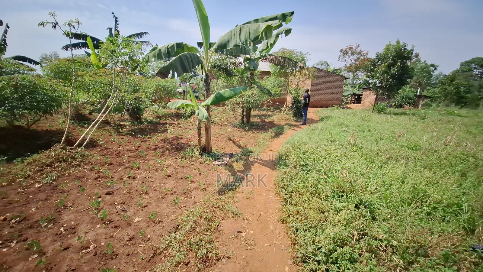 Land at Wanjeyo-Walusubi, Namawojjolo-Mukono Reduced