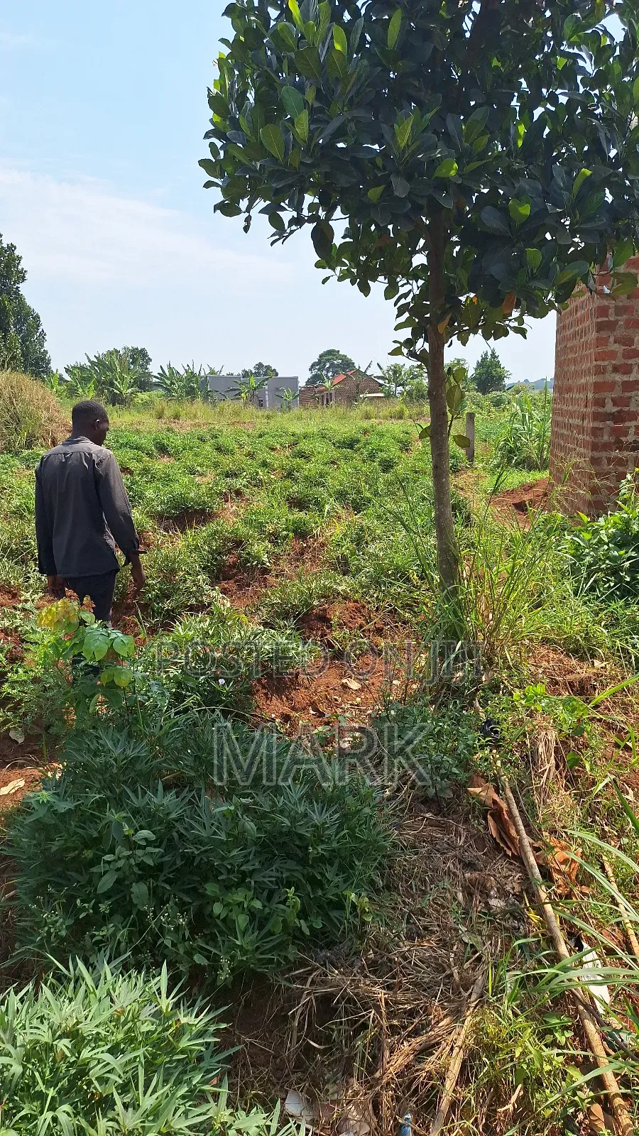Land at Wanjeyo-Walusubi, Namawojjolo-Mukono Reduced