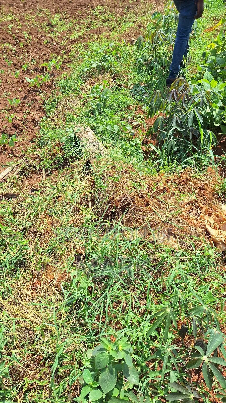 Land at Wanjeyo-Walusubi, Namawojjolo-Mukono Reduced