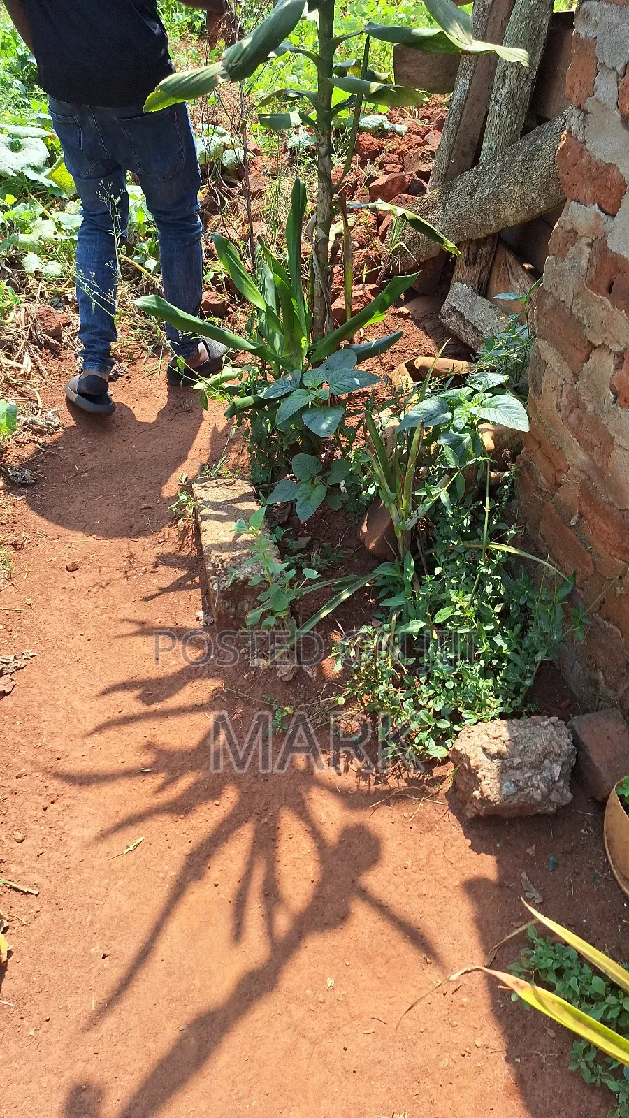 Land at Wanjeyo-Walusubi, Namawojjolo-Mukono Reduced