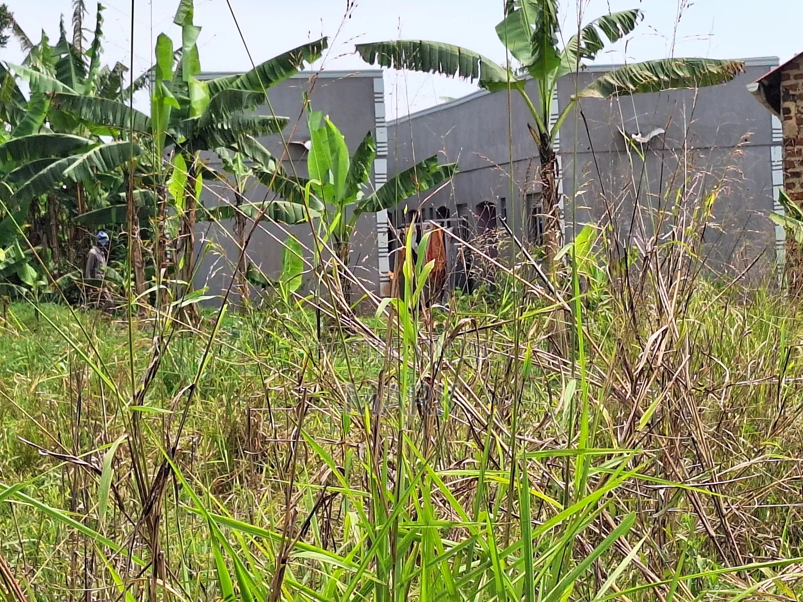 Land at Wanjeyo-Walusubi, Namawojjolo-Mukono Reduced