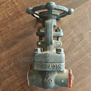 Steam Gate Valve