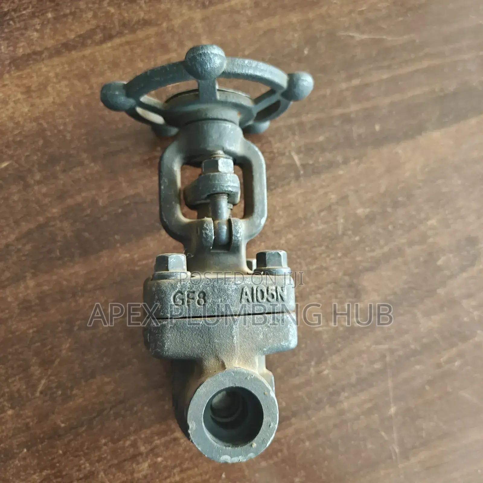 Steam Gate Valve