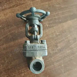 Steam Gate Valve