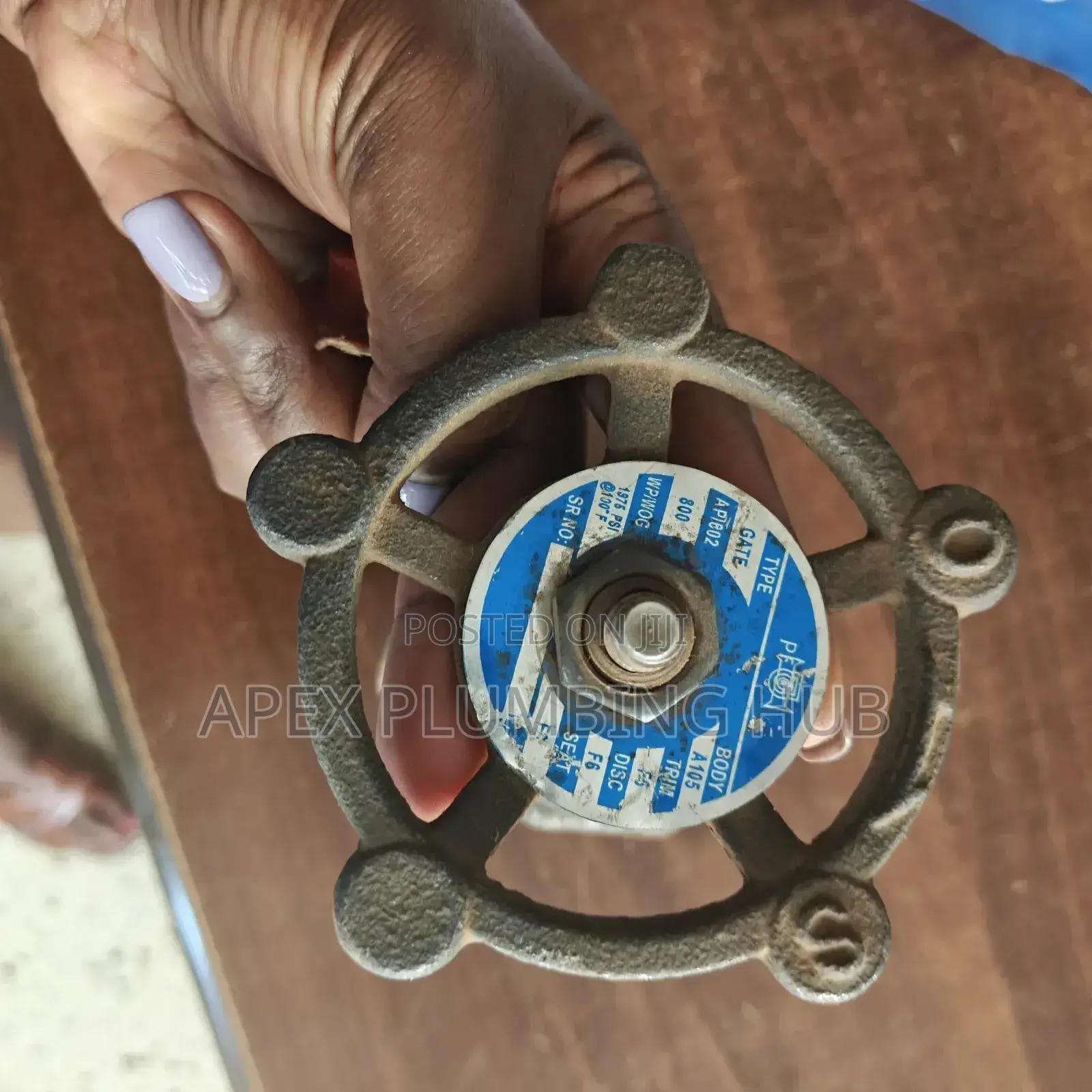 Steam Gate Valve
