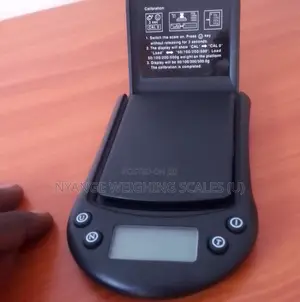 500g/0.1g New Arrival Digital Weigh Scale Portable Weighing Scale