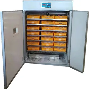 5280 Egg Incubator ( Imported)