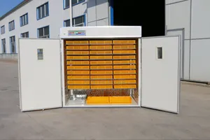 5280 Automatic Egg Incubator ( Imported)