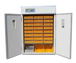 5280 Automatic Egg Incubator ( Imported)