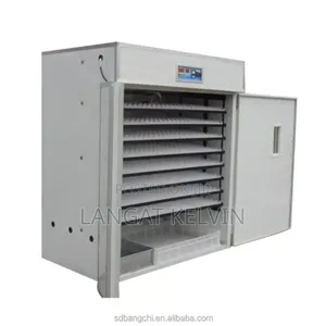 1056 Automatic Egg Incubator Imported.