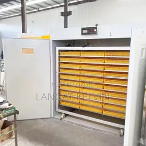 1056 Automatic Egg Incubator Imported.