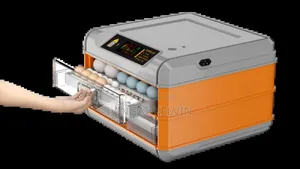 64 Automatic Egg Incubator (Imported)