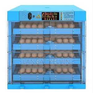 240 Fully Automatic Egg Incubator Imported