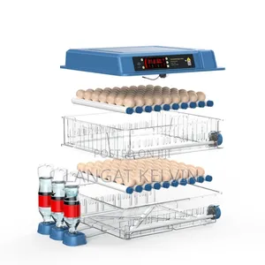 256 Egg Incubator Imported