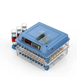 256 Egg Incubator Imported