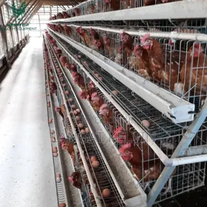 160 Poultry Cage With All Accessories