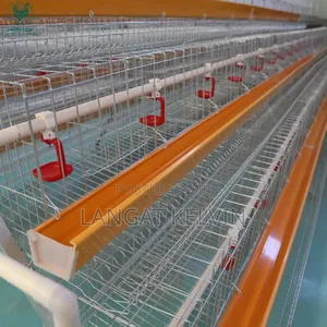 160 Poultry Cage With All Accessories