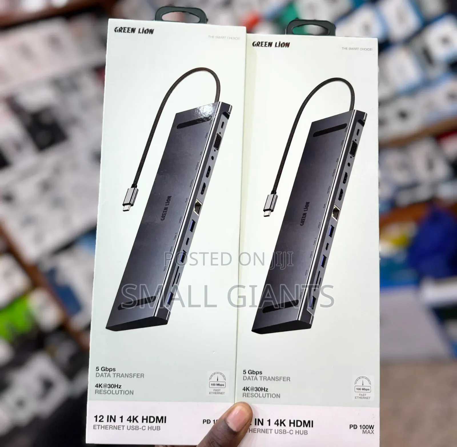 Green Lion 12-in-1 Hdmi Ethernet Usb-C Hub
