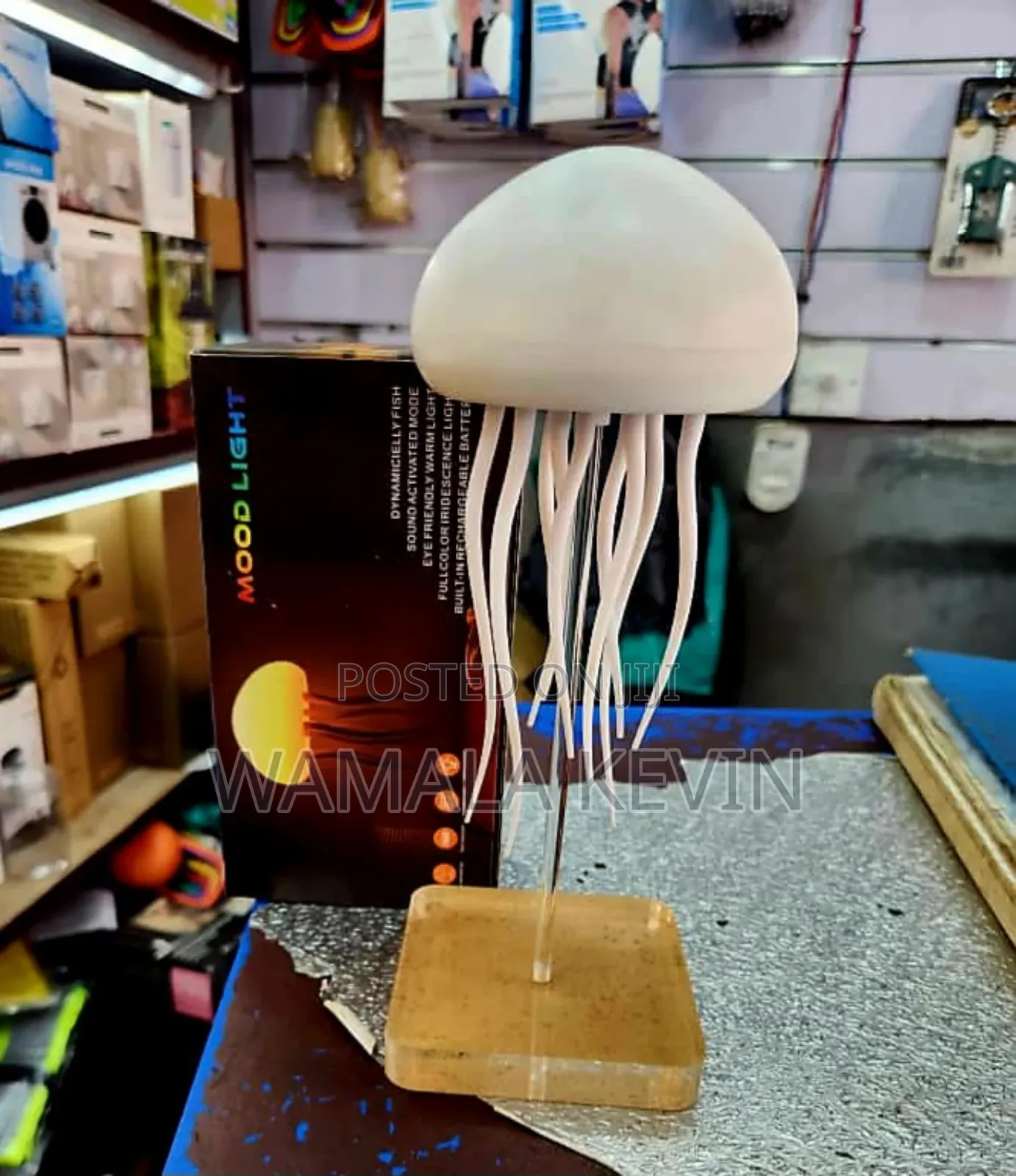 Jellyfish Lamp