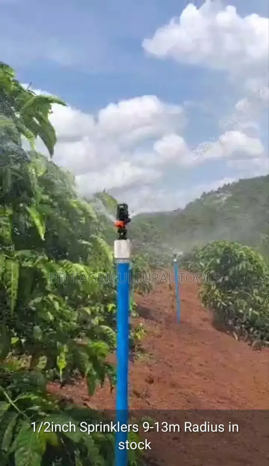 Impact Sprinkler 6-13 Meters Radius