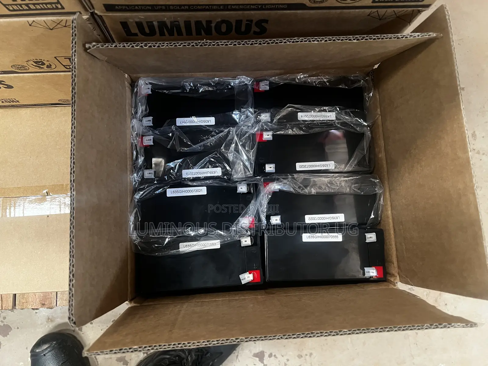 All Luminous Products at Discount 30% Off