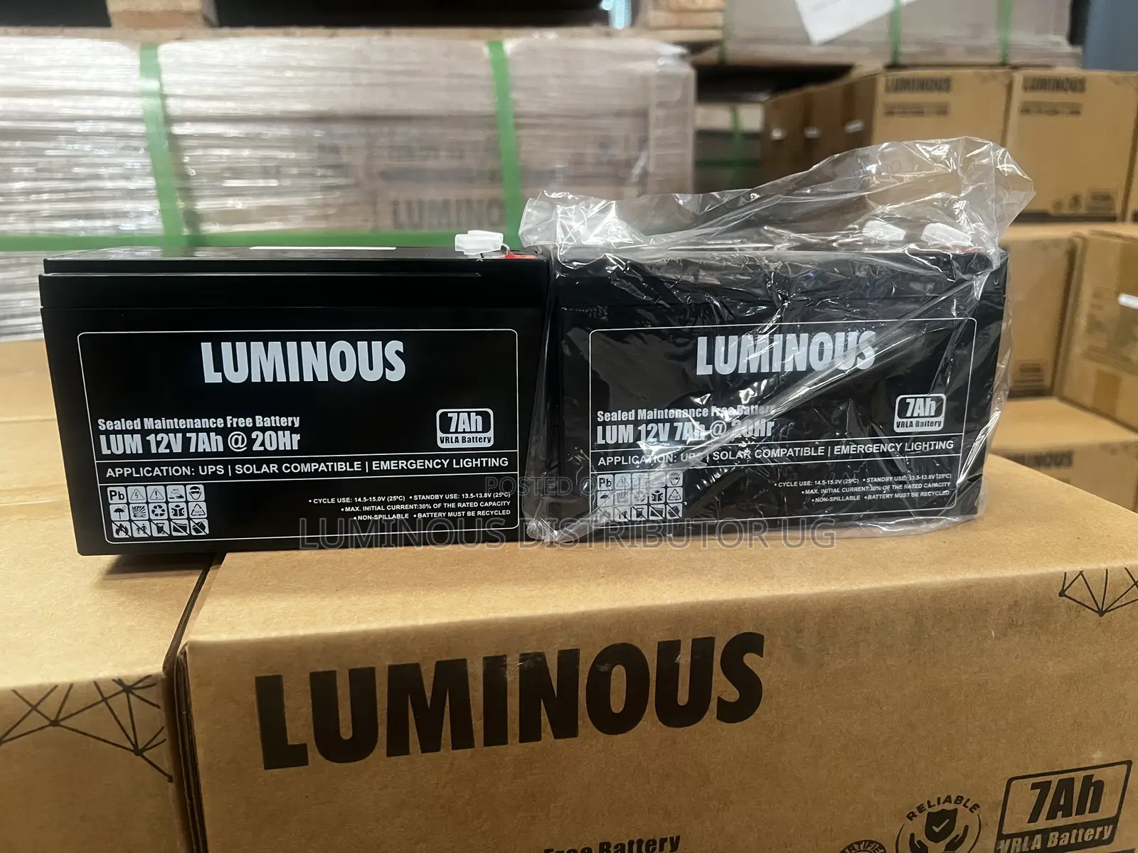 All Luminous Products at Discount 30% Off