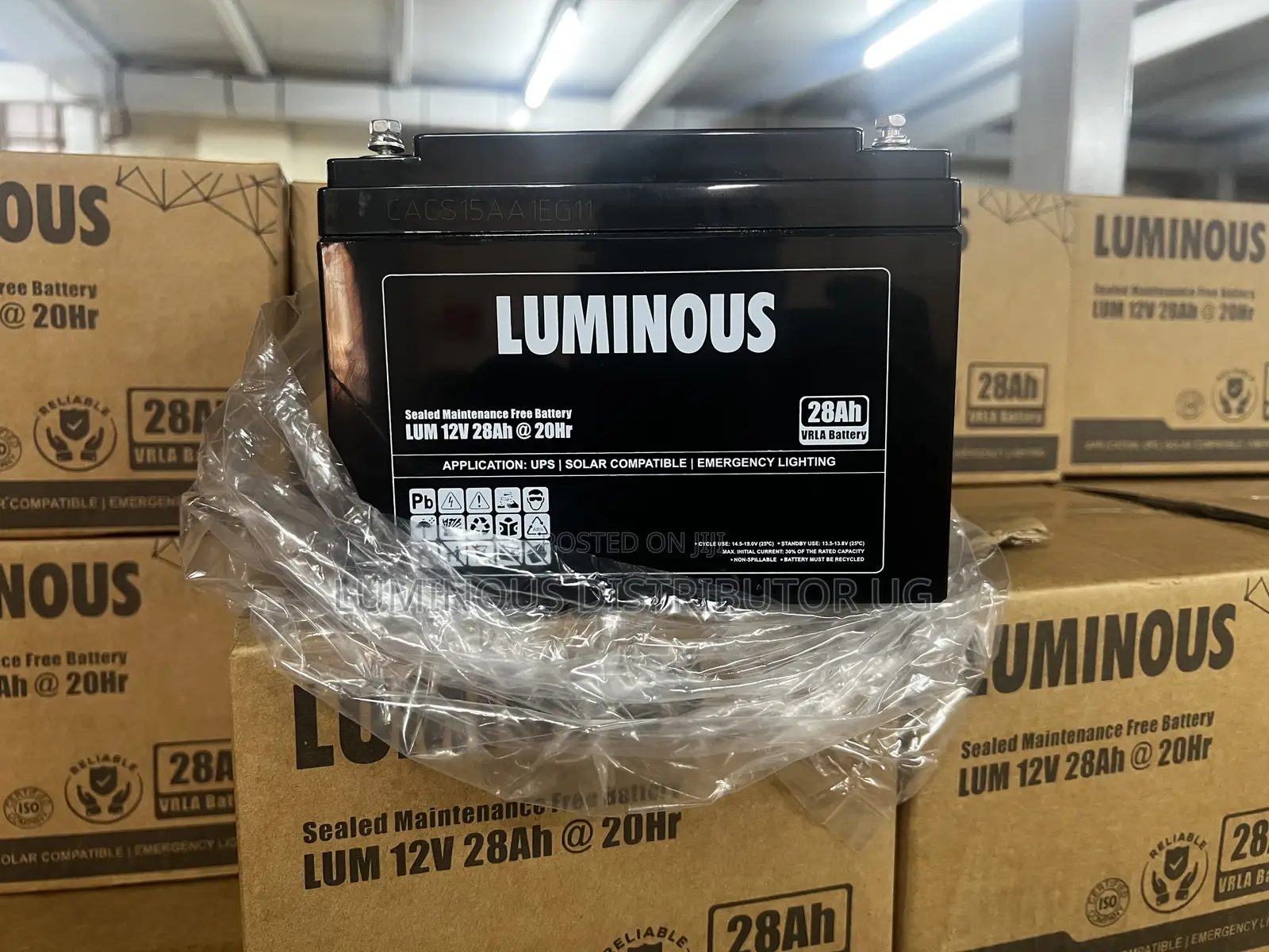 All Luminous Products at Discount 30% Off