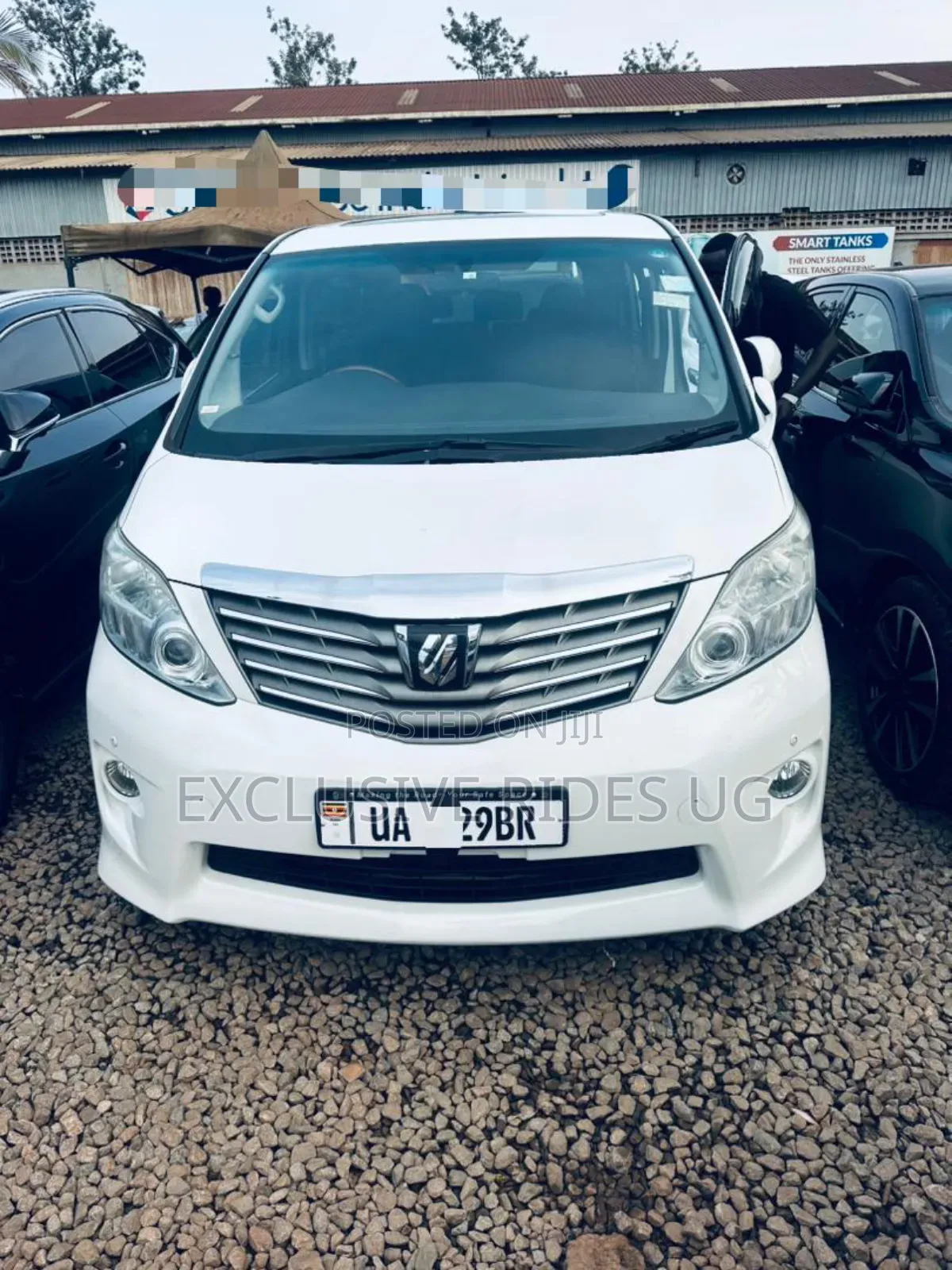 Toyota Alphard 2012 White