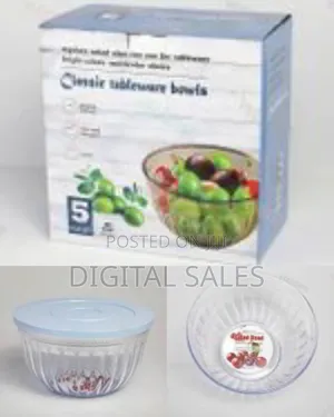 5 Pieces of Clear Plastic Salad Bowls With Airtight Lids