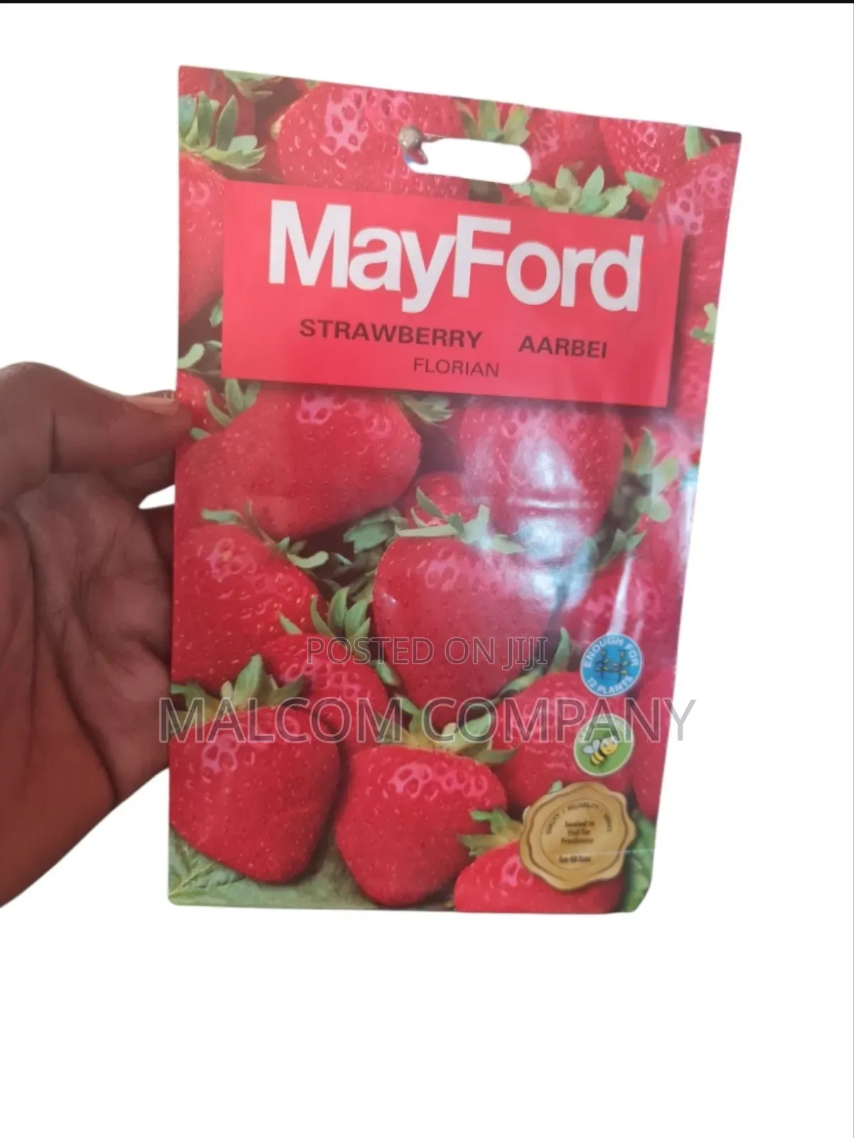 Strawberry Seeds
