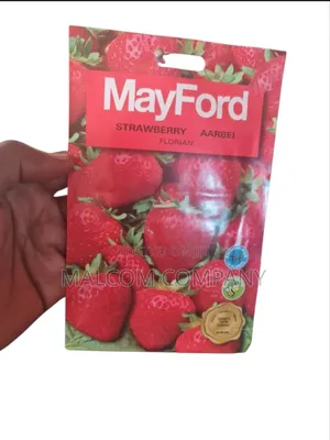Strawberry Seeds