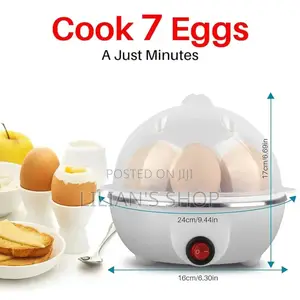 Multifunction Mini Egg Boiler