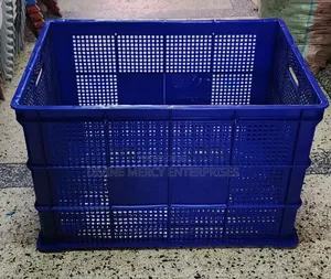 Plastic Mesh Basket Big Size