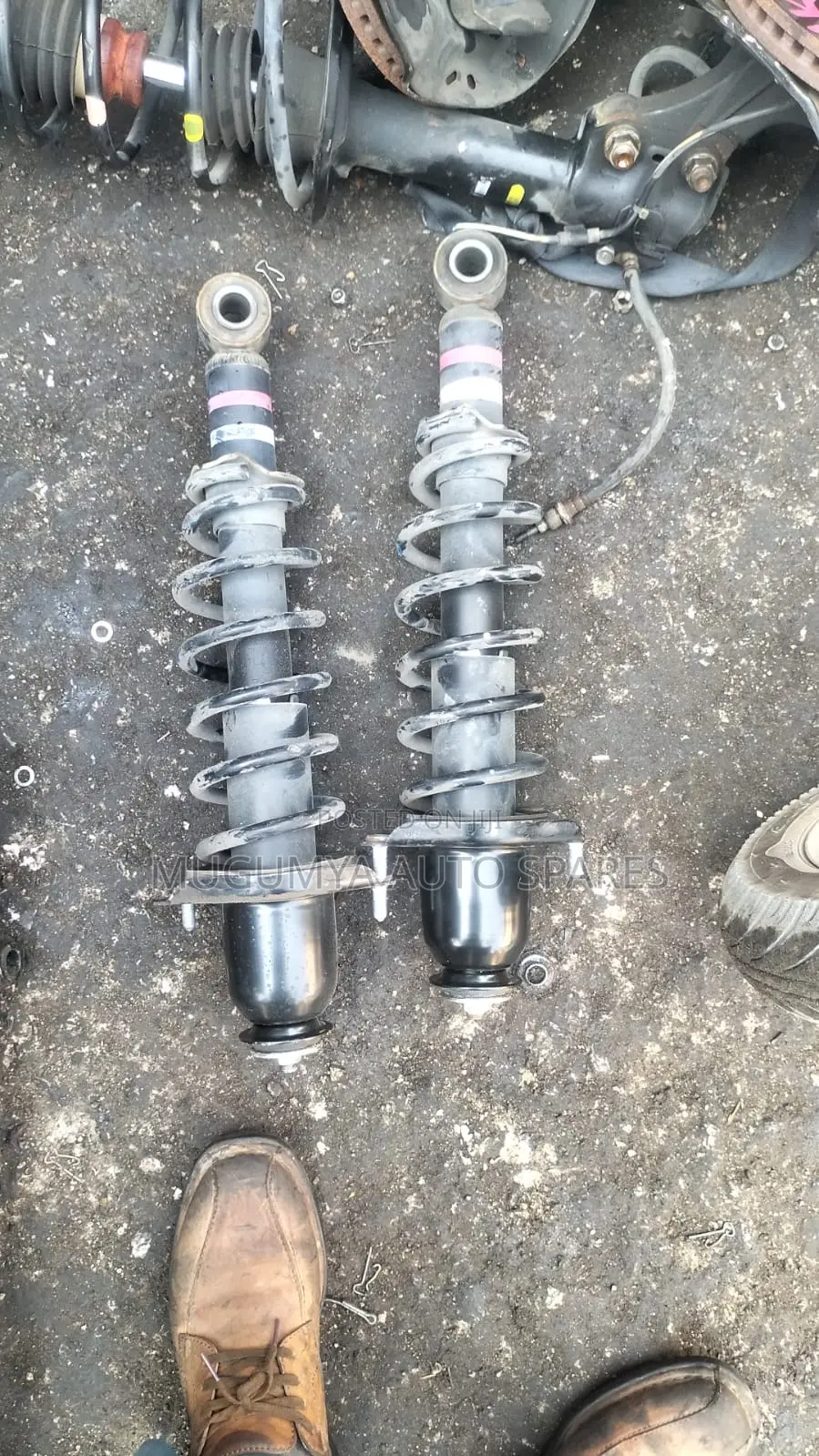 Allion, Alex,Runx, Spacio Rear Shock Absorbers