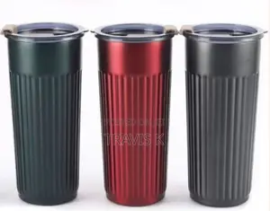 Stainless Steel Insulated Travel Bottle