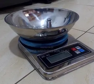Abs Portable Weigh 5 Kg Digital Weighing Scale Baking Weigh Scale