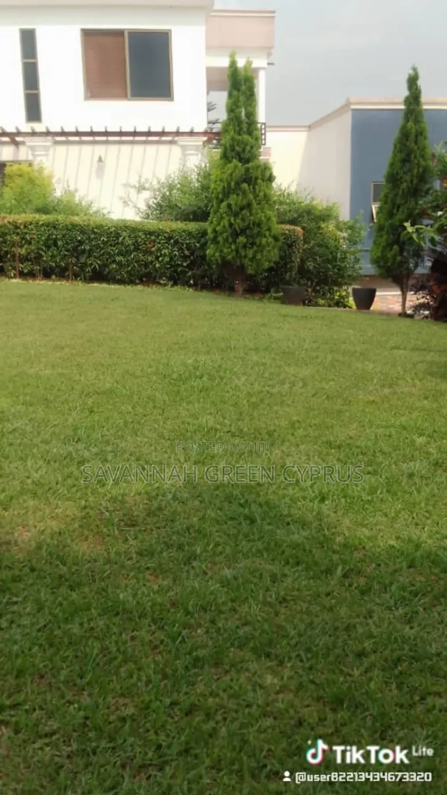 Compound Grass