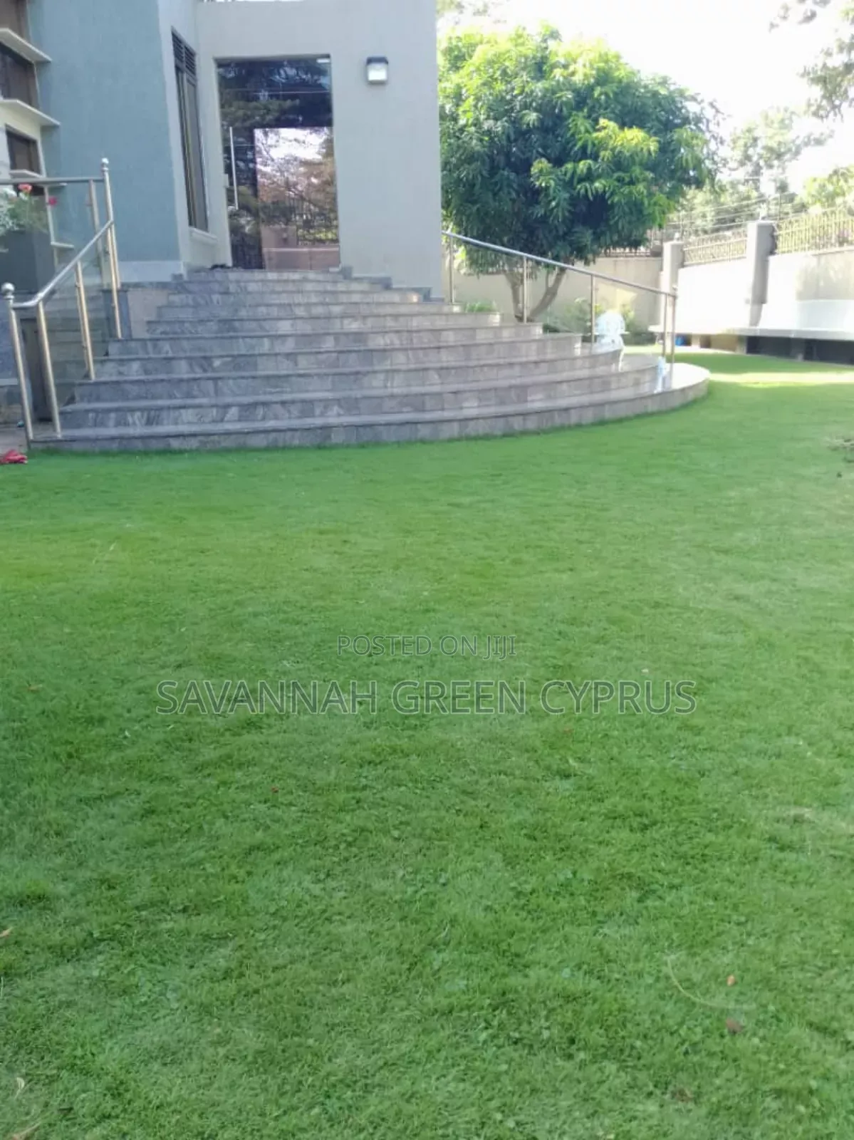 Compound Grass