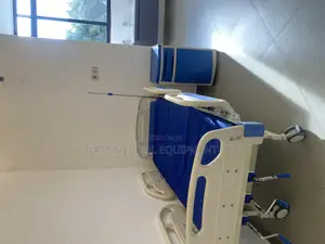 Tripple Crank Abs Hopsital Bed With Mattress