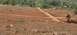 New Plots on Sale at Wakiso Gobero With Readytitle