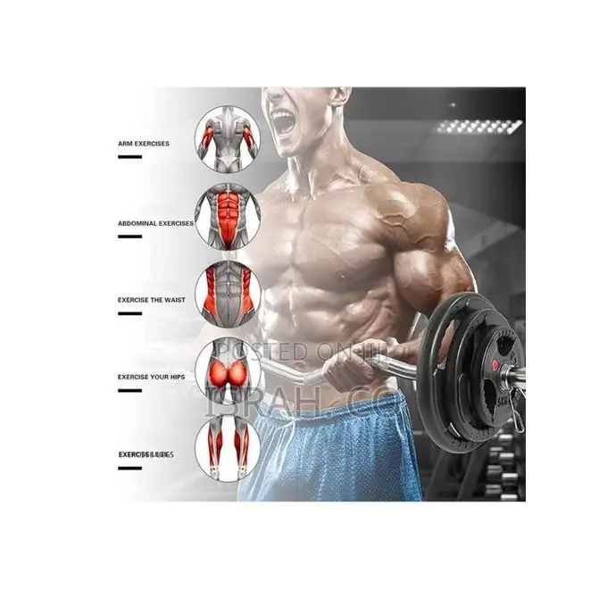 12.5kgs 2 Piece of Rubber Coated Hand Grip Bumper Weight Plate Discs