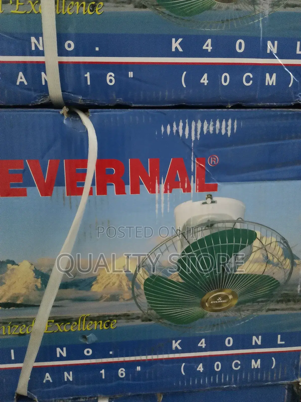 Ceiling Fan Evernal