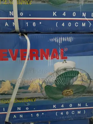 Ceiling Fan Evernal