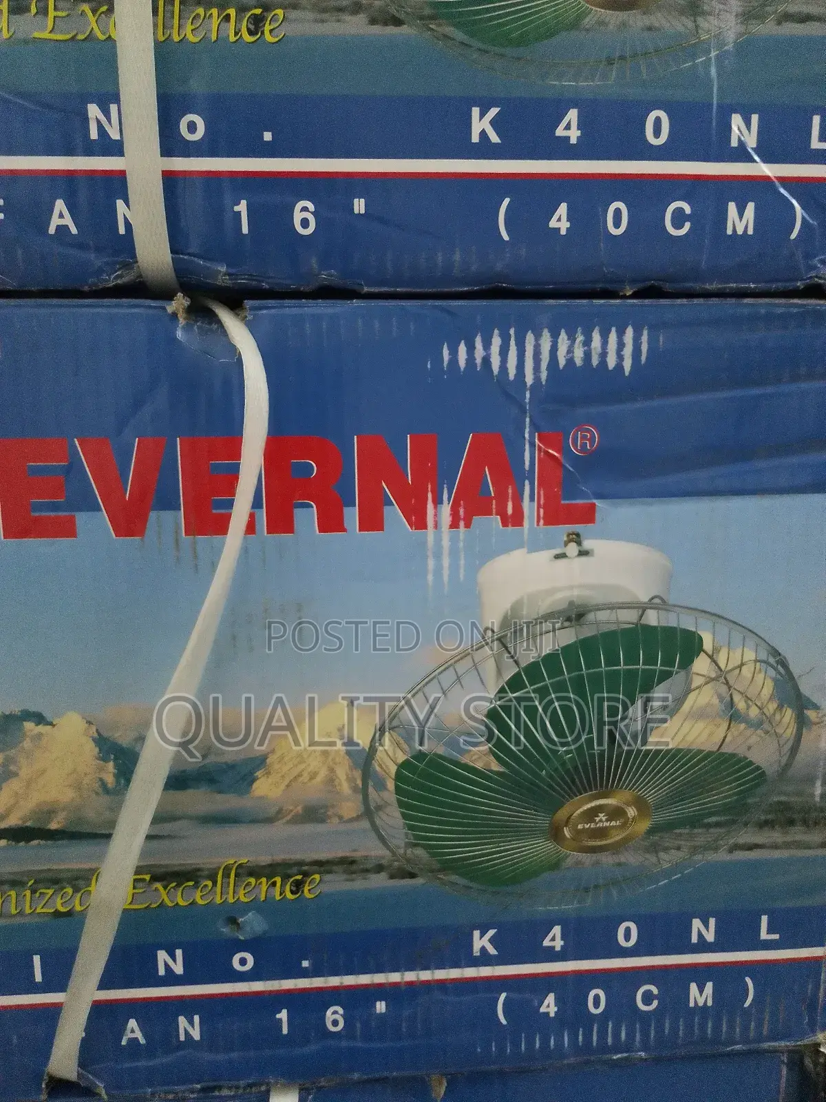 Ceiling Fan Evernal