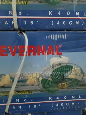Ceiling Fan Evernal